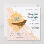 Love Bird Abriot, Robin Egg Blue Damask Kaart (Voorkant)