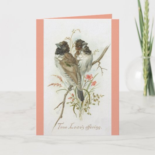 Love Birds Anniversary Greeting Card Kaart (Voorkant)