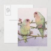 Love Birds Briefkaart (Voorkant / Achterkant)