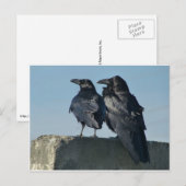 Love Birds Briefkaart (Voorkant / Achterkant)