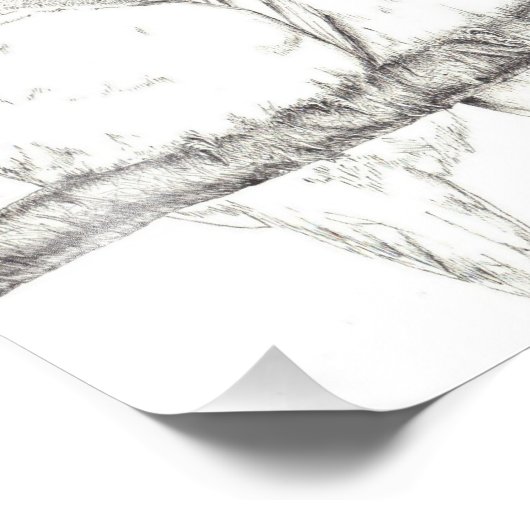 Love Birds Foto Afdruk (Hoek)