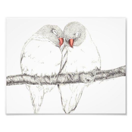Love Birds Foto Afdruk (Voorkant)