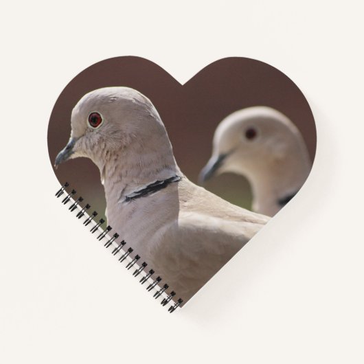 Love Birds Notitieboek (Voorkant)