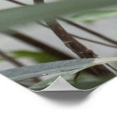 Love Birds Poster (Hoek)