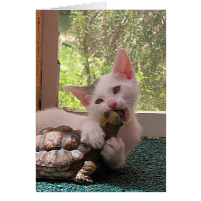 Love Bite (Voorkant)