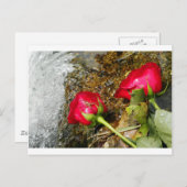 Love Bites Briefkaart (Voorkant / Achterkant)