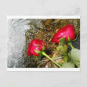 Love Bites Briefkaart (Voorkant)