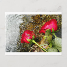 Love Bites Briefkaart