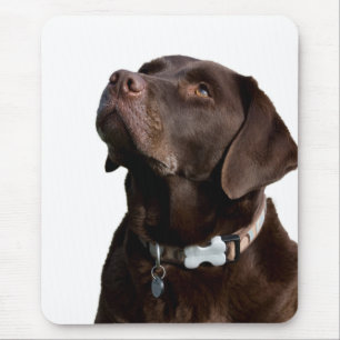 Love Black & Brown Labrador Retriever Muismat