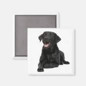 Love Black Labrador Retriver Puppy Hondenmagneet Magneet (Voorkant / Achterkant)