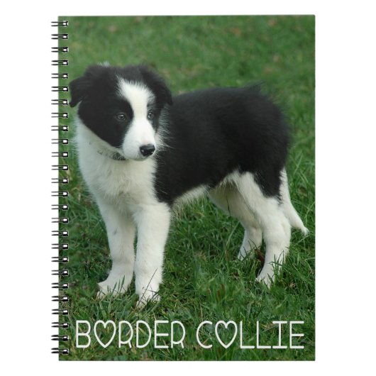 Love Black & White Border Collie Puppy Dog Journal Notitieboek (Voorkant)