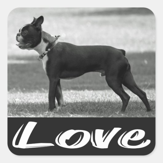 Love Black & White Boston Terrier Dog Sticker (Voorkant)