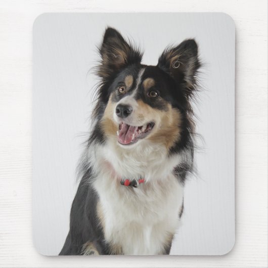Love Border Collie Puppy Dog Mousepad Muismat (Voorkant)