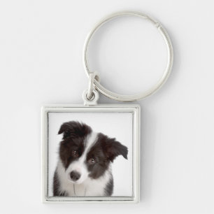 Love Border Collie Puppy Dog Sleutelhanger