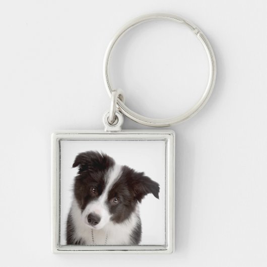 Love Border Collie Puppy Dog Sleutelhanger (Voorkant)