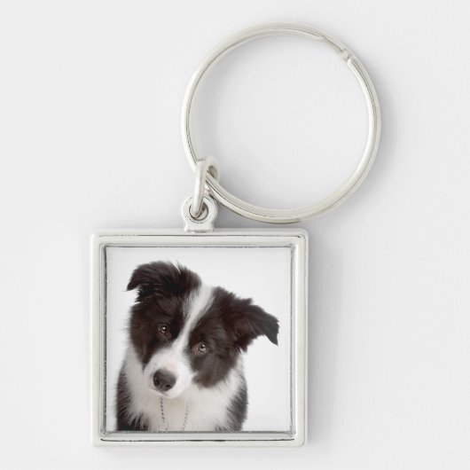 Love Border Collie Puppy Dog Sleutelhanger (Voorkant)