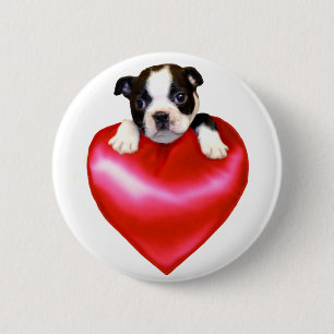 Love Boston Terrier-knop Ronde Button 5,7 Cm