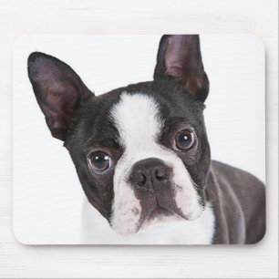 Love Boston Terrier Puppy Dog Computer Mousepad Muismat