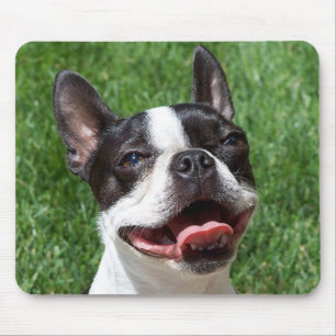 Love Boston Terrier Puppy Dog Computer Mousepad Muismat