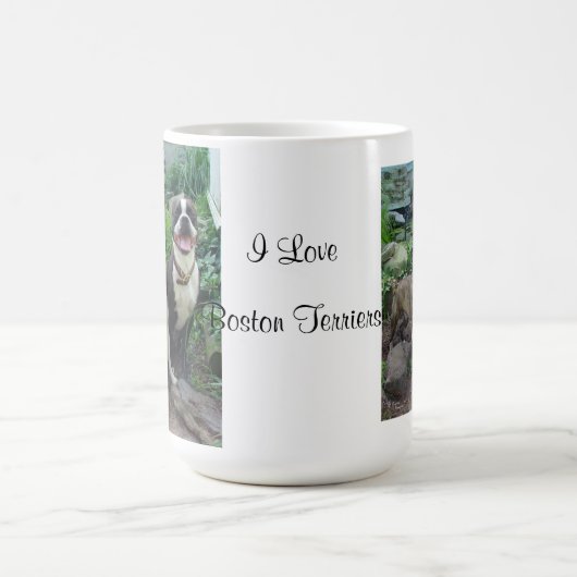 Love Boston Terriers, Mok (Center)