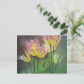 Love Briefkaart (Staand voorkant)