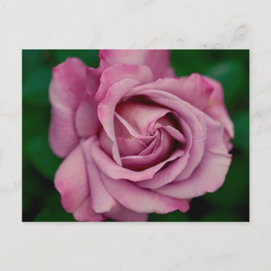 Love Briefkaart (Voorkant)