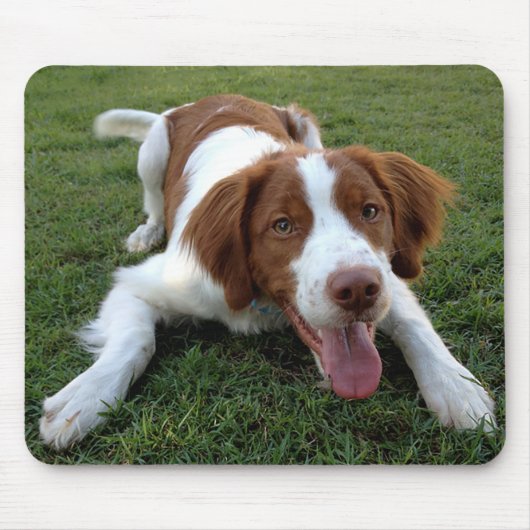 Love Brittany Spaniel Puppy Dog Mousepad Muismat (Voorkant)