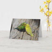 Love Budgies Kaart (Gele Bloem)