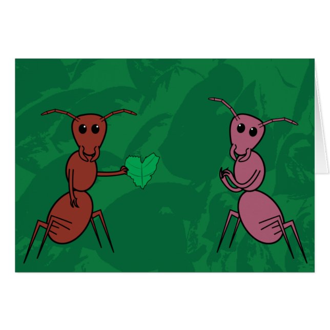 Love Bug (Voorkant Horizontaal)