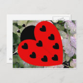 Love Bug Briefkaart (Voorkant / Achterkant)