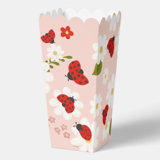 Love bug cute ladybug baby shower personalized bedankdoosjes (Achterkant)