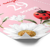 Love Bug Daisy Birthday Photo Milestone Poster (Hoek)