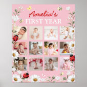 Love Bug Daisy First Year Photo Milestone Poster (Voorkant)
