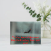 Love Bug Fever Post Card Briefkaart (Staand voorkant)