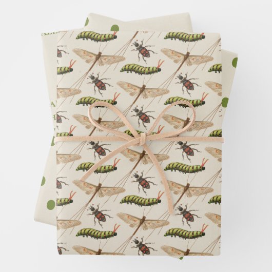 Love Bug Insect Custom Name 1st Birthday Inpakpapier Vel (In situ)