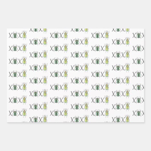 Love Bug Valentijnsdag Inpakpapier Vel (Voorkant 3)