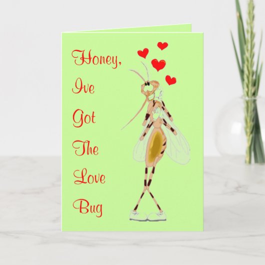 Love Bug Valentine Card Feestdagen Kaart (Voorkant)