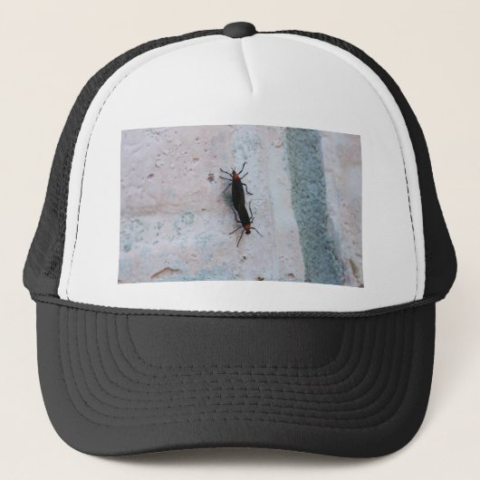 Love Bugs Trucker Pet (Voorkant)
