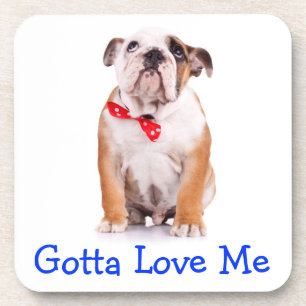 Love Bulldogs Engelse Bulldog Puppy Onderzetter Se