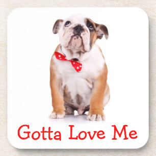 Love Bulldogs Engelse Bulldog Puppy Onderzetter Se