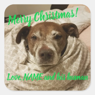 Love Bullet en zijn mens Vierkante Sticker