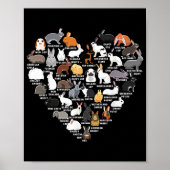 Love Bunnies Funny Rabbit Heart Poster (Voorkant)