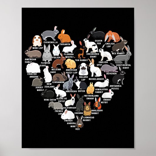 Love Bunnies Funny Rabbit Heart Poster (Voorkant)