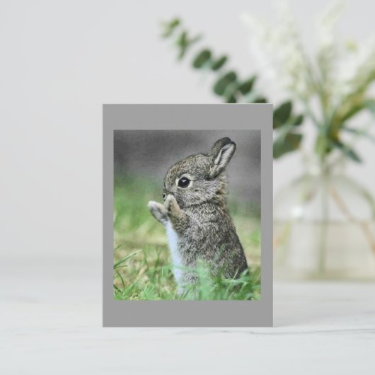 Love Bunny Hug Briefkaart (Staand voorkant)