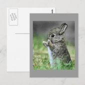 Love Bunny Hug Briefkaart (Voorkant / Achterkant)