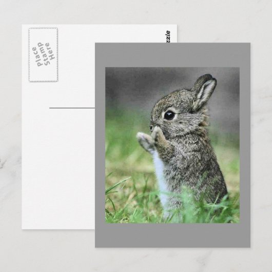 Love Bunny Hug Briefkaart (Voorkant / Achterkant)