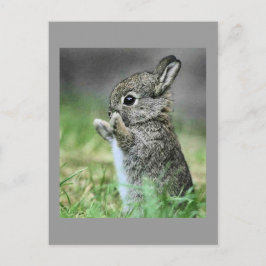 Love Bunny Hug Briefkaart