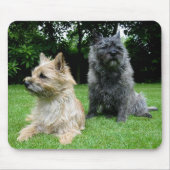 Love Cairn Terrier Puppy Dog Mousepad Muismat (Voorkant)