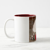 Love Cat I Mok -  (Links)