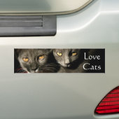 Love Cats Bumpersticker (Op auto)